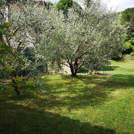 Maison 3 Etoiles Avec Jardin Pour Familles, Sportifs, Curistes... Digne-les-Bains Bagian luar foto