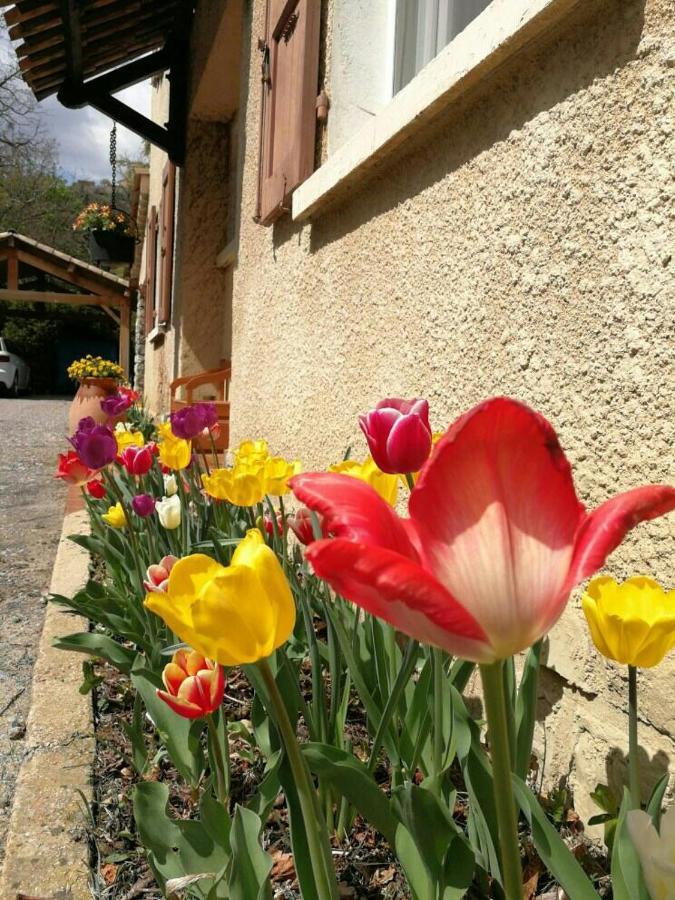 Maison 3 Etoiles Avec Jardin Pour Familles, Sportifs, Curistes... Digne-les-Bains Bagian luar foto