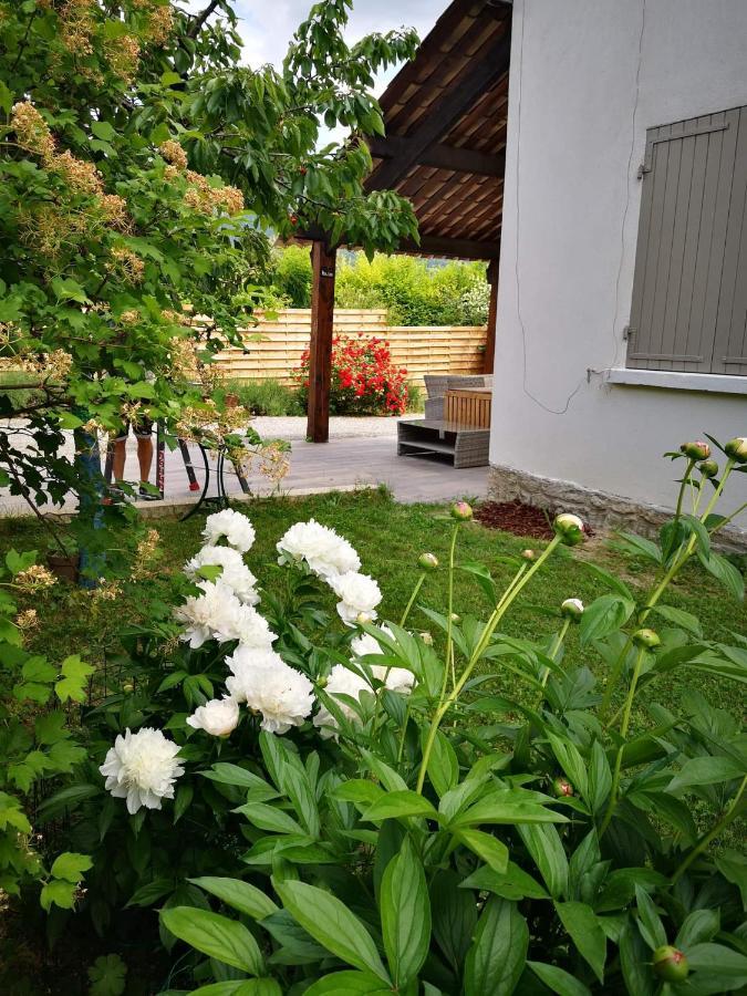 Maison 3 Etoiles Avec Jardin Pour Familles, Sportifs, Curistes... Digne-les-Bains Bagian luar foto